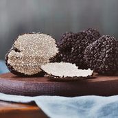 Extra Seasonal Truffle