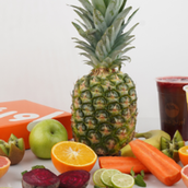 Mind Diet