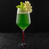 Lemon Mint Juice