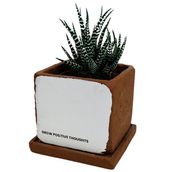 Positive Thoughts Planter