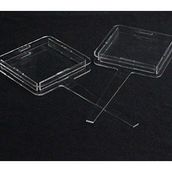 Money Gift Box