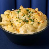 Baked Creamy Alfredo Pasta