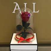 Infinity Red Rose Small Vase