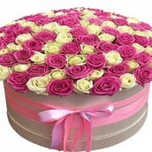 88 Mix Color Rose Box - Ss-73