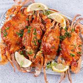 1kg Crab