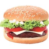Beef Burger Sandwich Only
