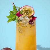Passion Fruit Mojito