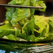 Korean salad
