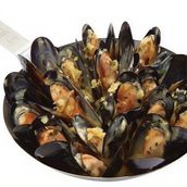  Mussels Oysters