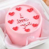 Pink Lunch Box Cake