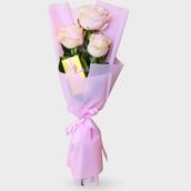 Pink and chocolate romance
