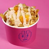 Loaded Fries