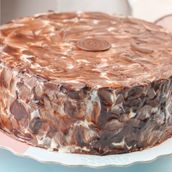 Marble Cake