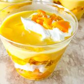 Mango Pudding