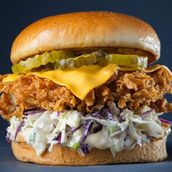 TASTY CLASSIC CHICKEN BURGER