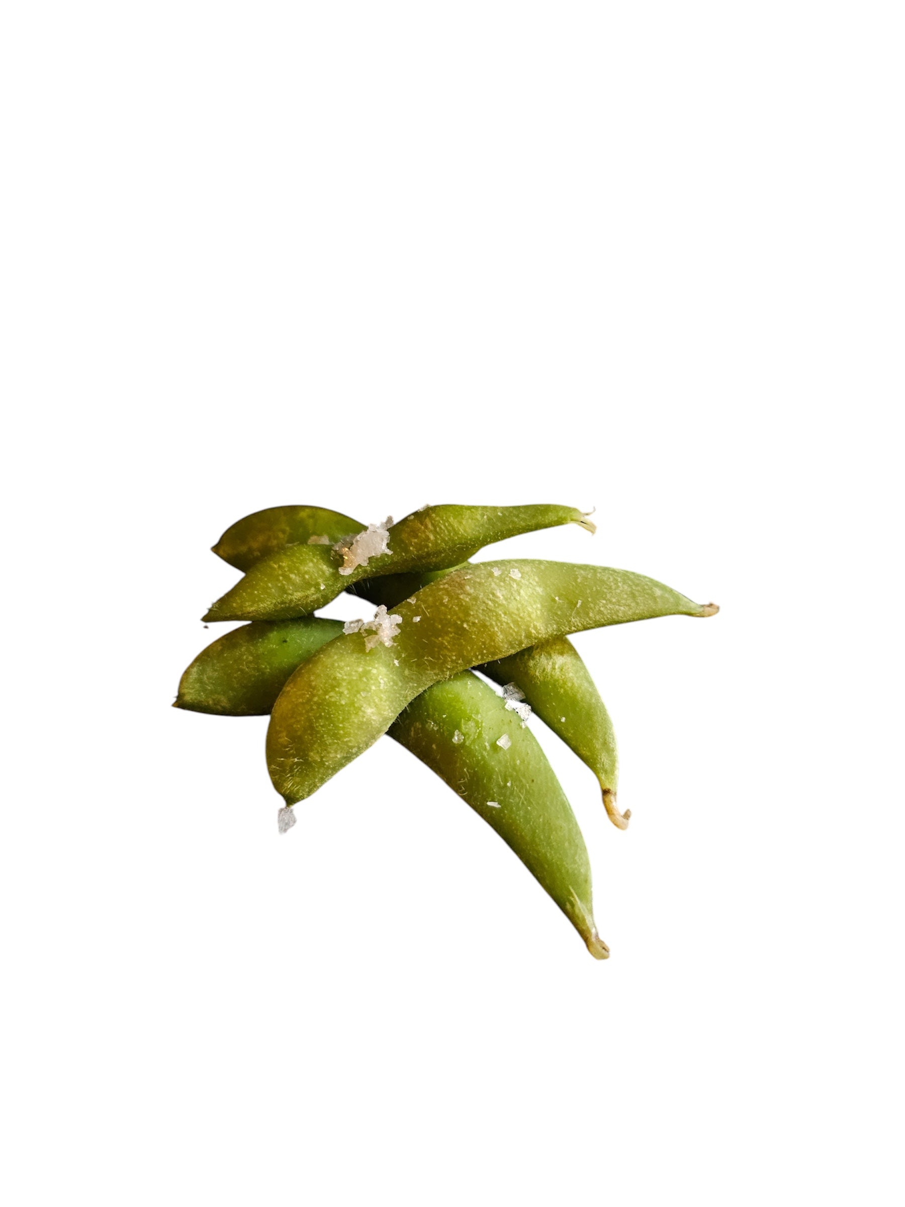 A2. Edamame