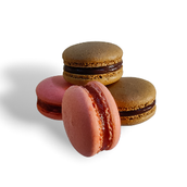 Macarons Box Of 15
