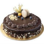 hazelnut chocolate cake 1 kg 
