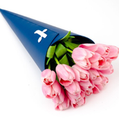 Tulip Pink