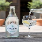 Surgiva Sparkling water/Italy 250ml