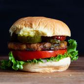 Vegetable Burger