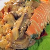 Special Lobster Mushroom