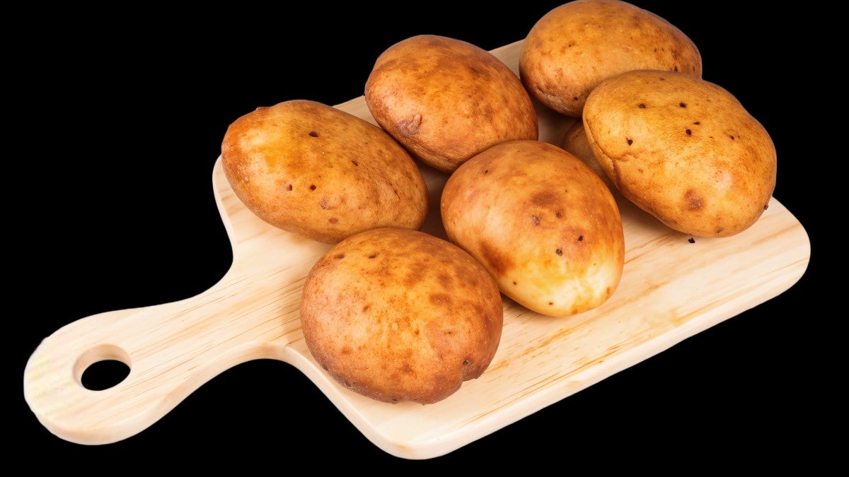 خميـــر باخمري | 6 حبات Khameer Bread  | 6 Pcs