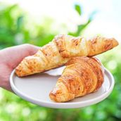 Plain Croissant