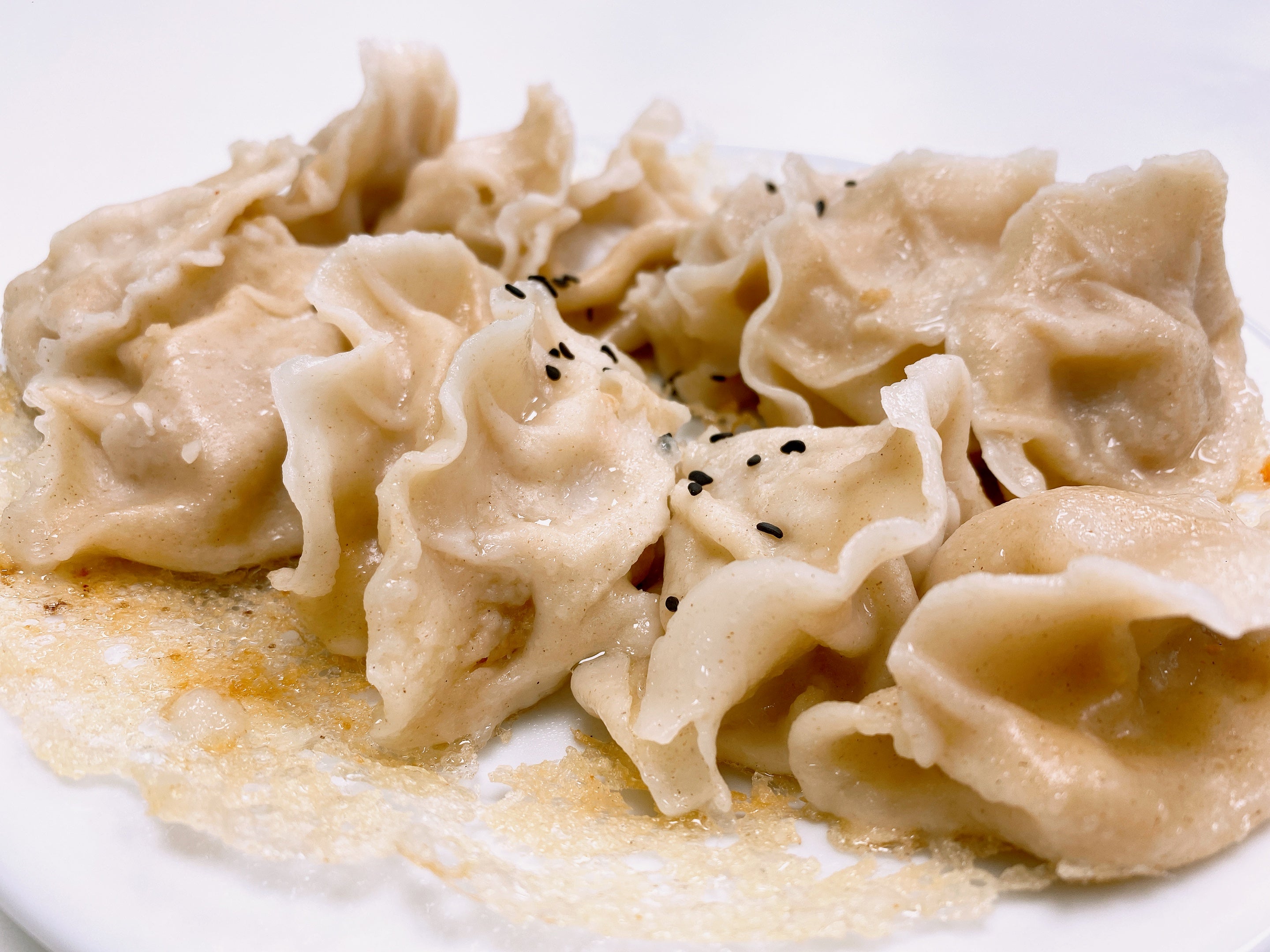 Pan-Fried Beef Dumplings 牛肉煎饺