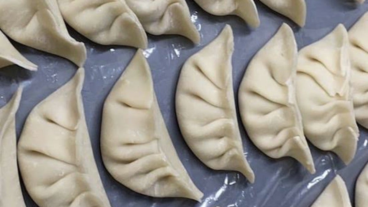 Grilled Dumplings (6)锅贴