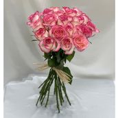 Pink Classic 