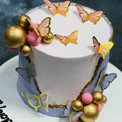 Butterfly Cake 05