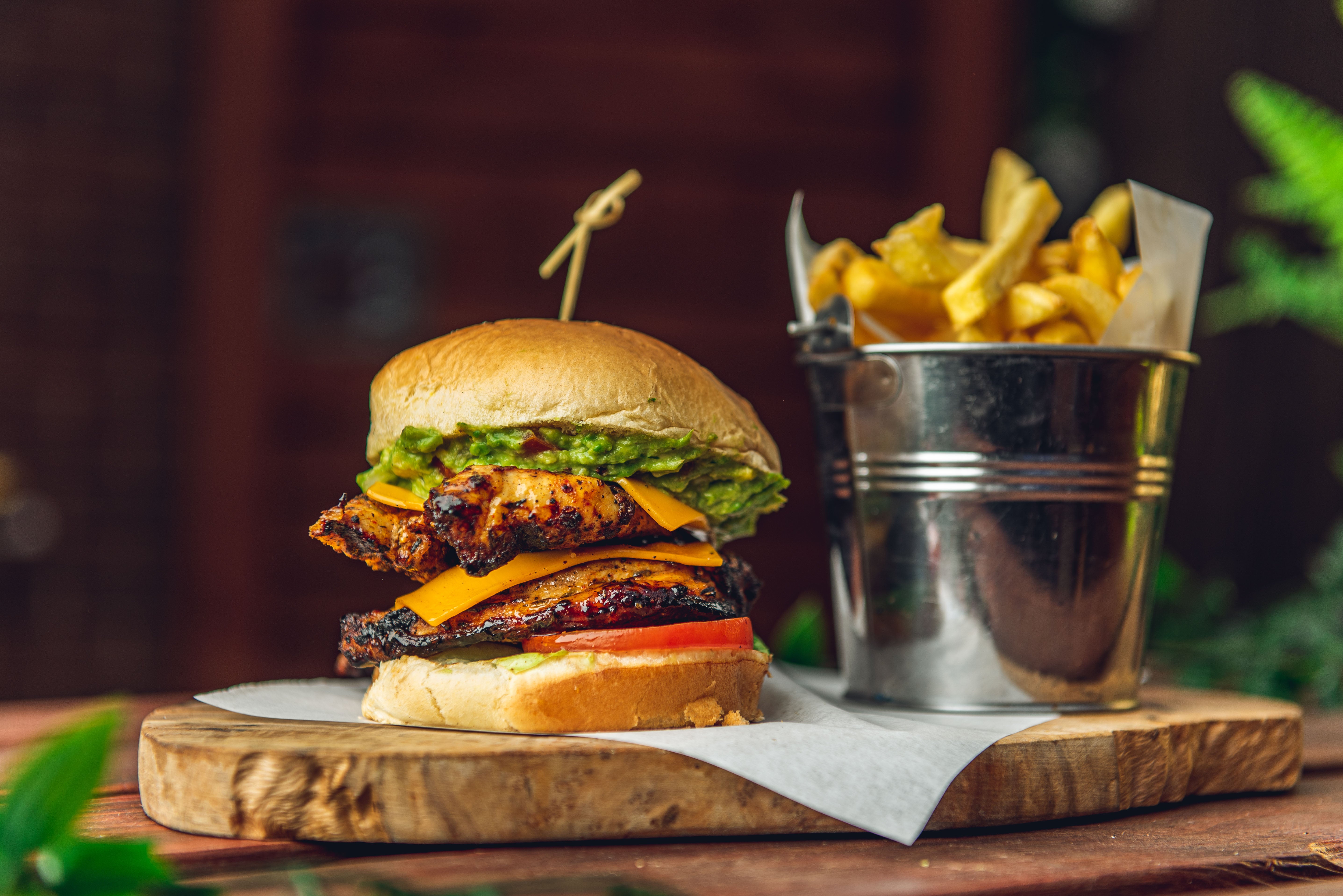 Chicken Burger + Fries
