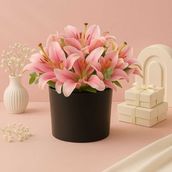 Fresh Lily Blooms - Extra Small