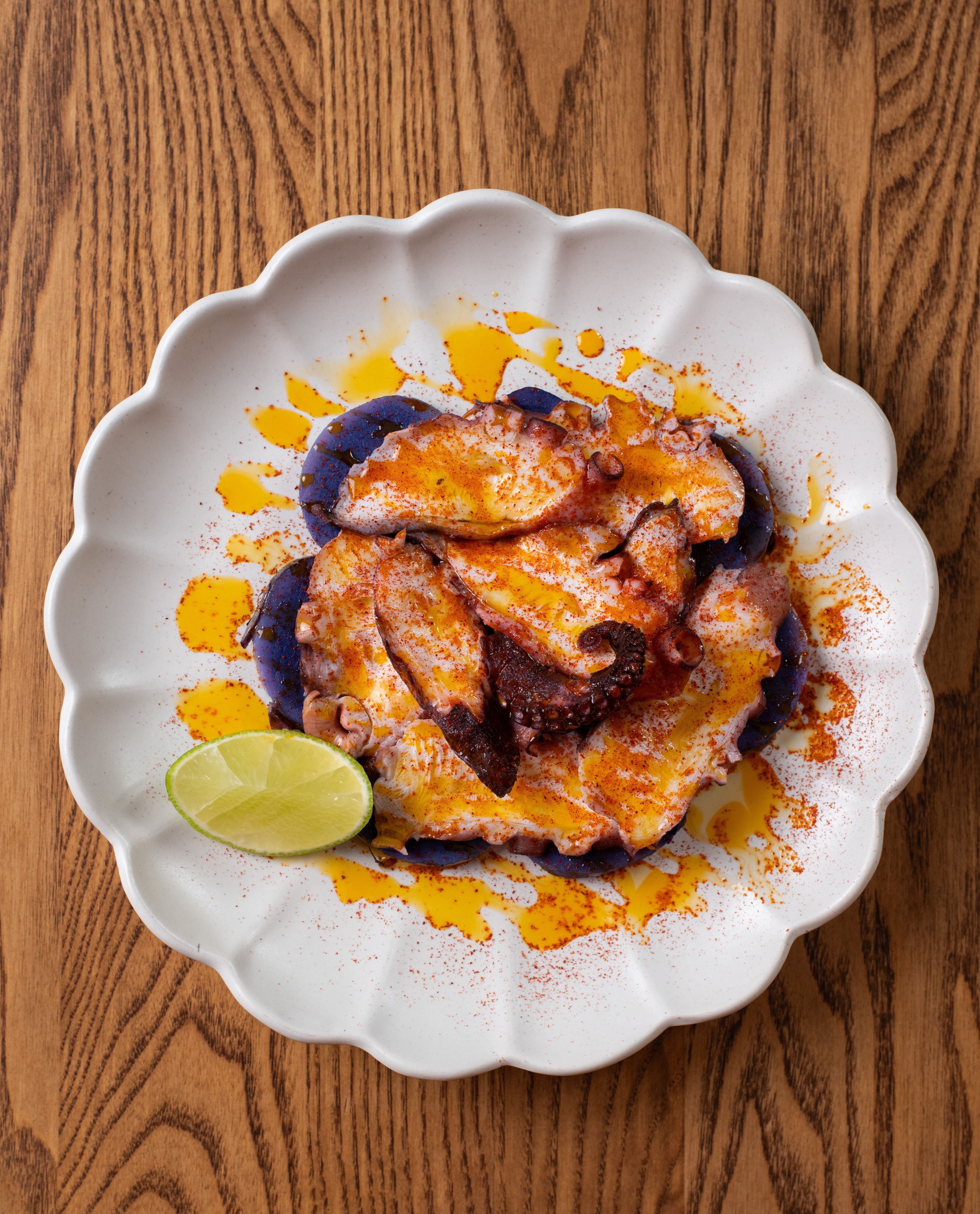 Andean Octopus
