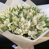 20 Stems White Alstroemeria Flowers Bouquet 