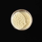 Rice with milk plain