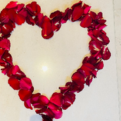 100 Gram Red Roses Petals