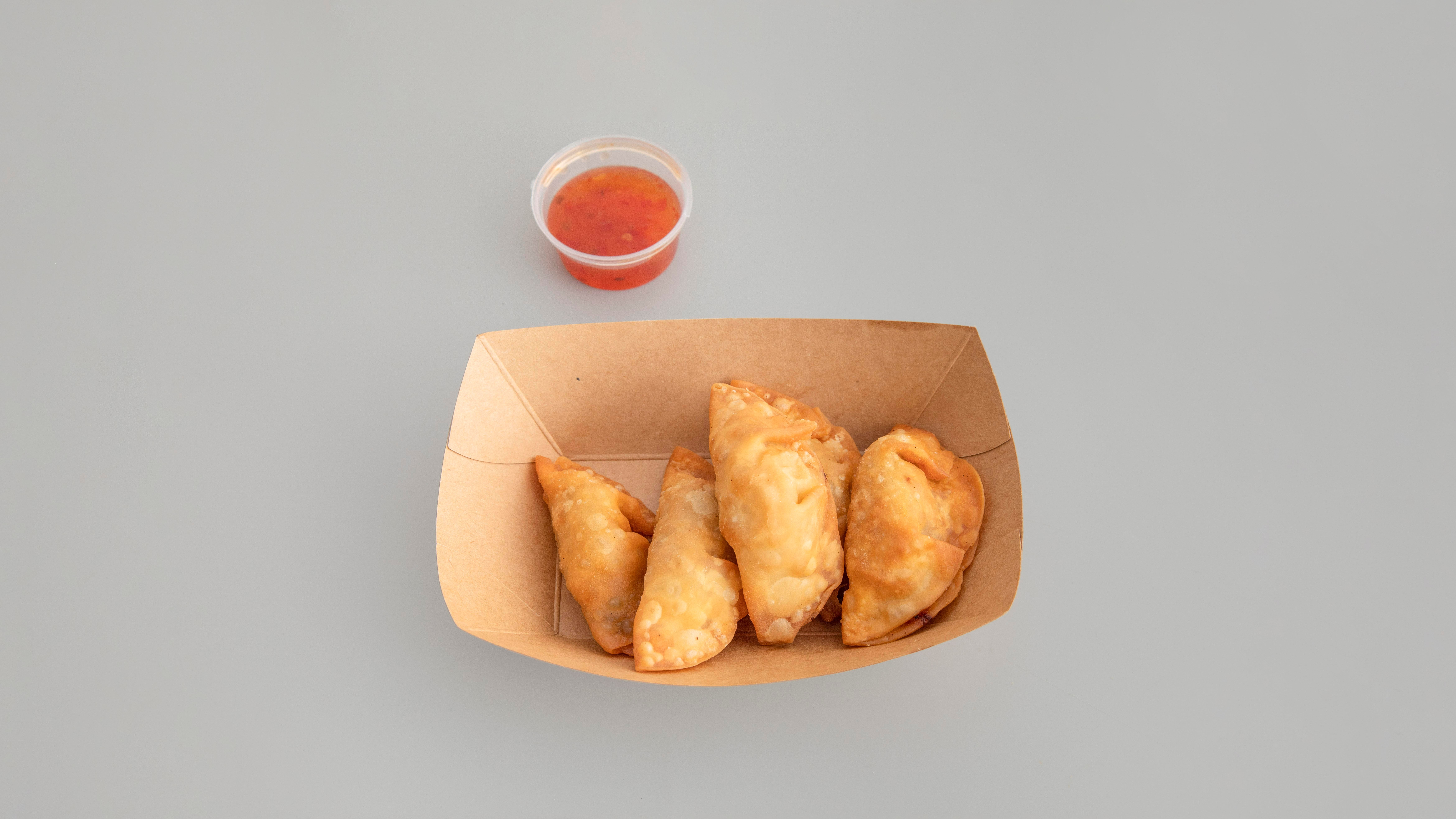 Deep Fried Chicken Gyoza (5)