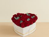 Scarlet Box