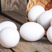 Eggs