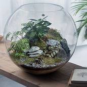 Sai Terrarium