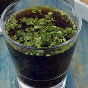 Masala Coke