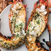 Lobster