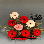 Gerbera Mix Stand 525147