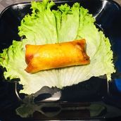 Veg Spring Roll [PLATE]