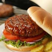 Plain Meat Burger Sandwich