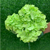 Green Artificial Hydrangea