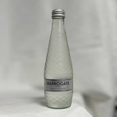 Premium Sparkling Water (330ml)