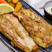 Hamour Fish